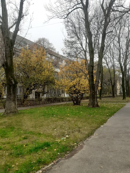 Drumul Taberei, Plaza, bloc tip F.