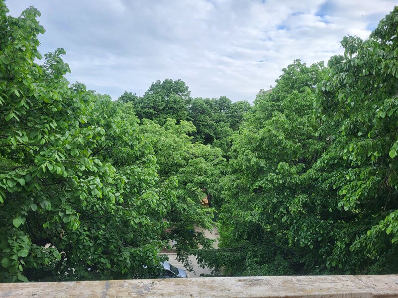 Drumul Taberei, Plaza, bloc tip F.